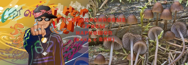 дурь Нязепетровск