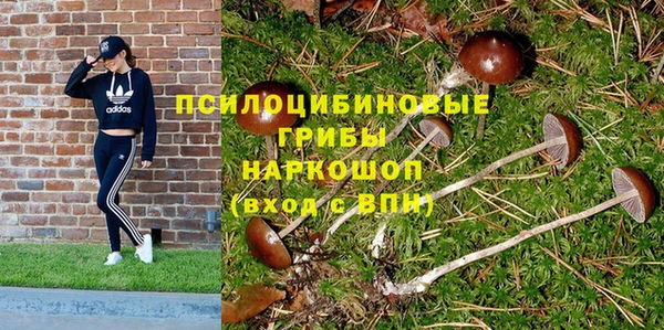 jwh Няндома