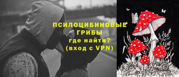 дурь Нязепетровск